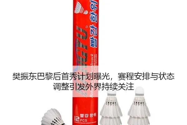 樊振东巴黎后首秀计划曝光，赛程安排与状态调整引发外界持续关注